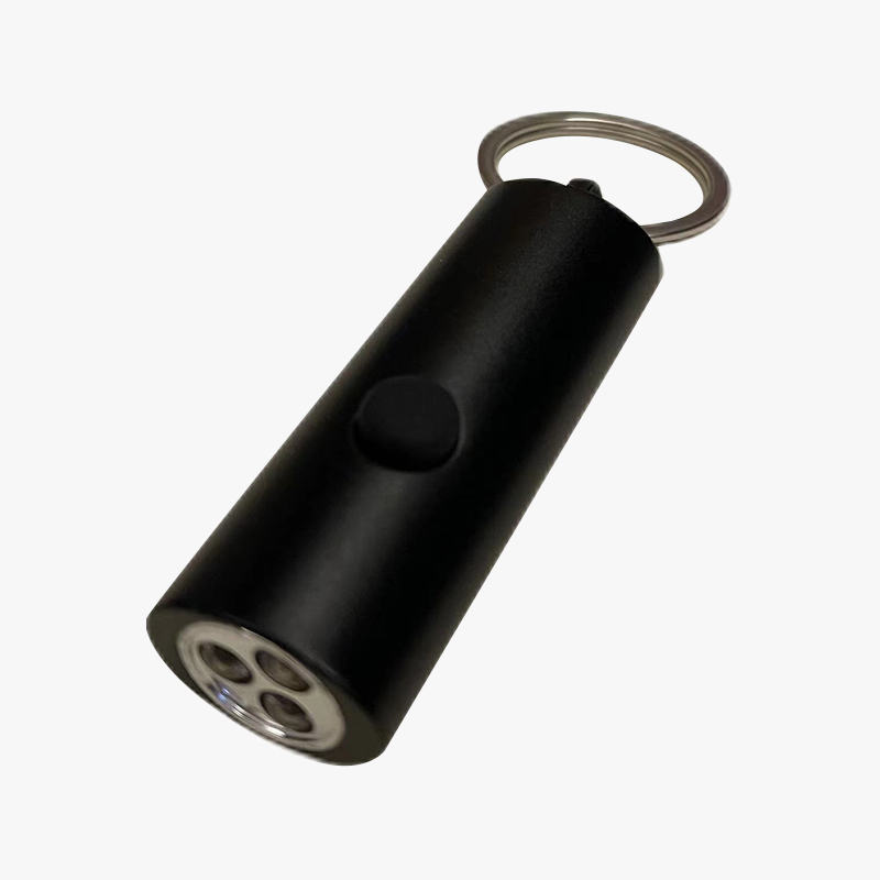 Keychain Light (Oval)